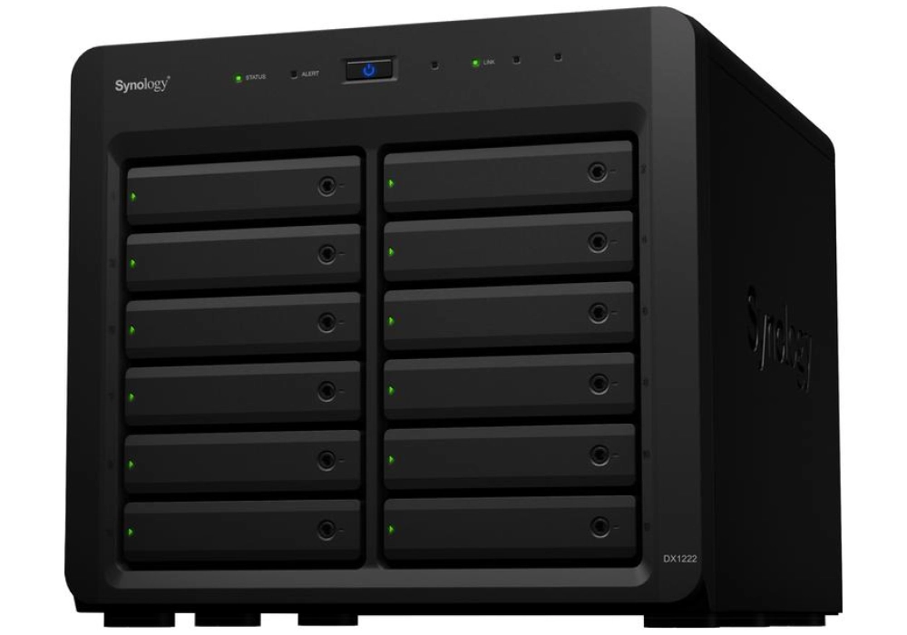 Synology DX1222