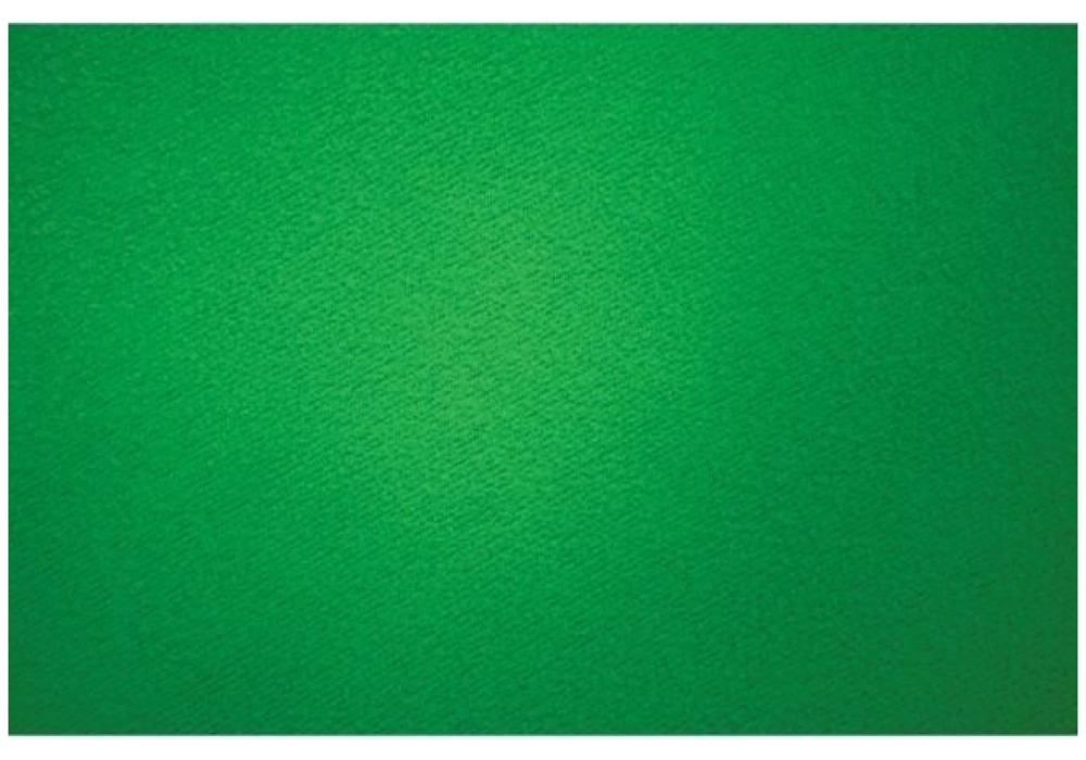 Westcott fond vert 2.7 x 6 m