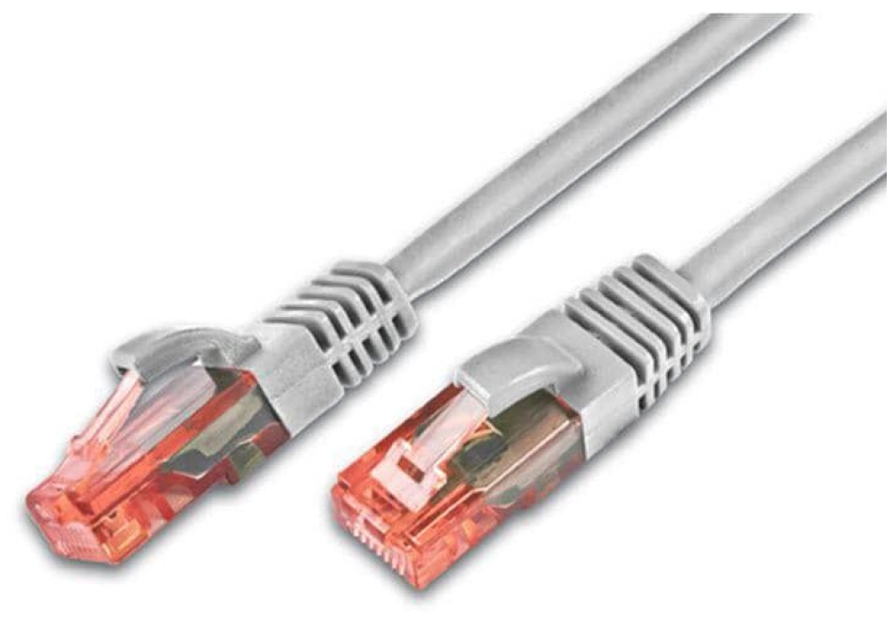 Wirewin CAT 6 UTP (gris) - 7.0 m